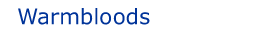 warmbloods